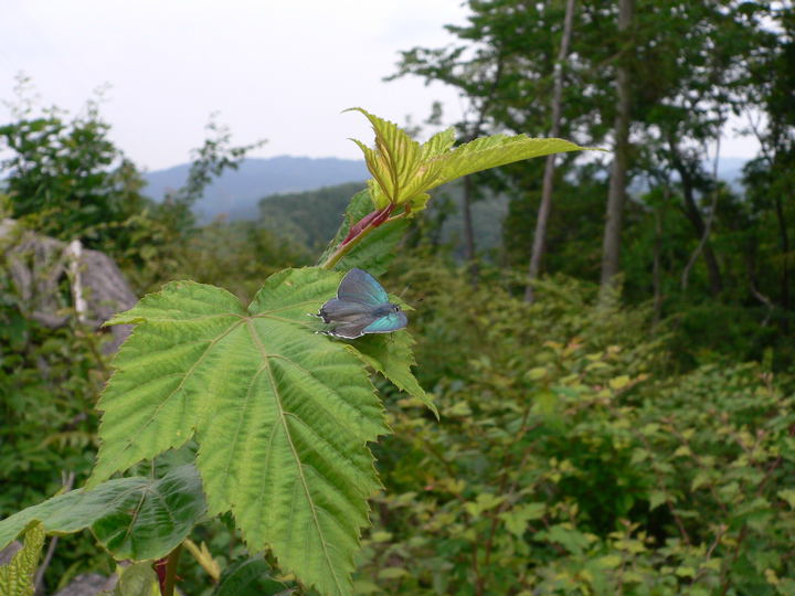 b0167762_14582322.jpg