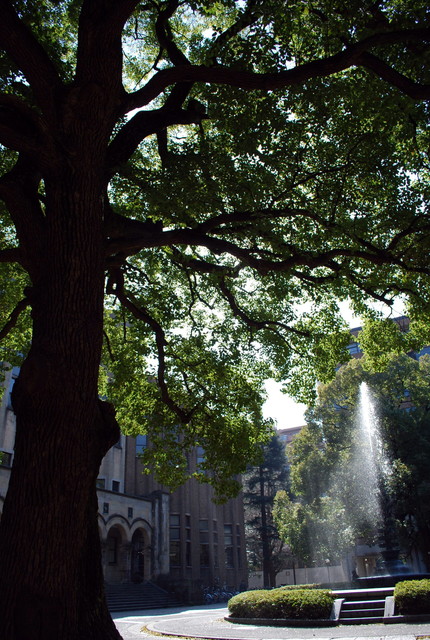 b0174068_011240.jpg