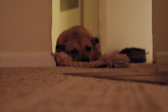 f0004775_6394332.jpg