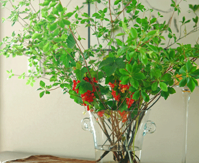 f0032481_0182979.gif