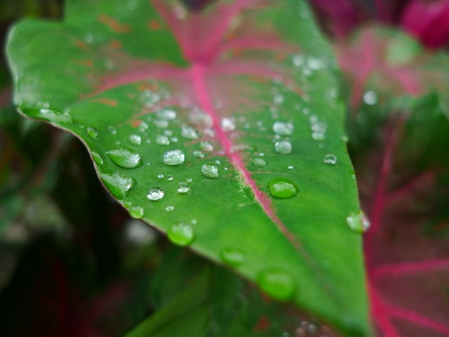 b0115085_13503025.jpg