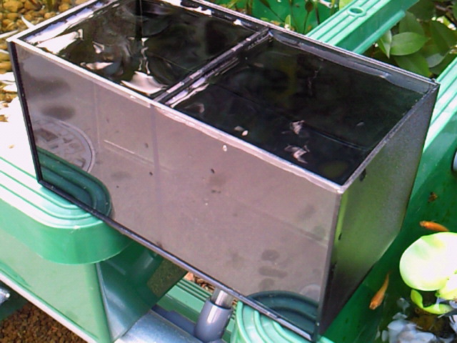 e0176785_2138336.jpg
