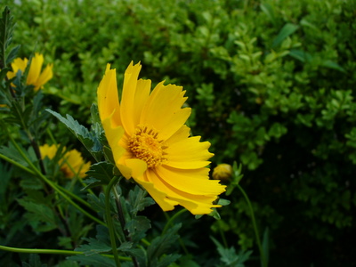 e0026586_21561369.jpg