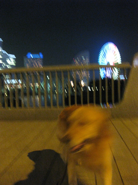 c0096393_2202039.jpg