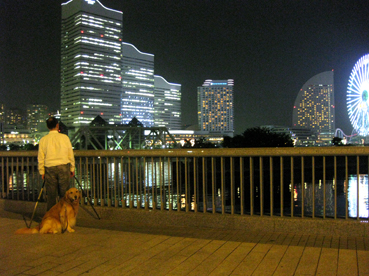 c0096393_2281010.jpg