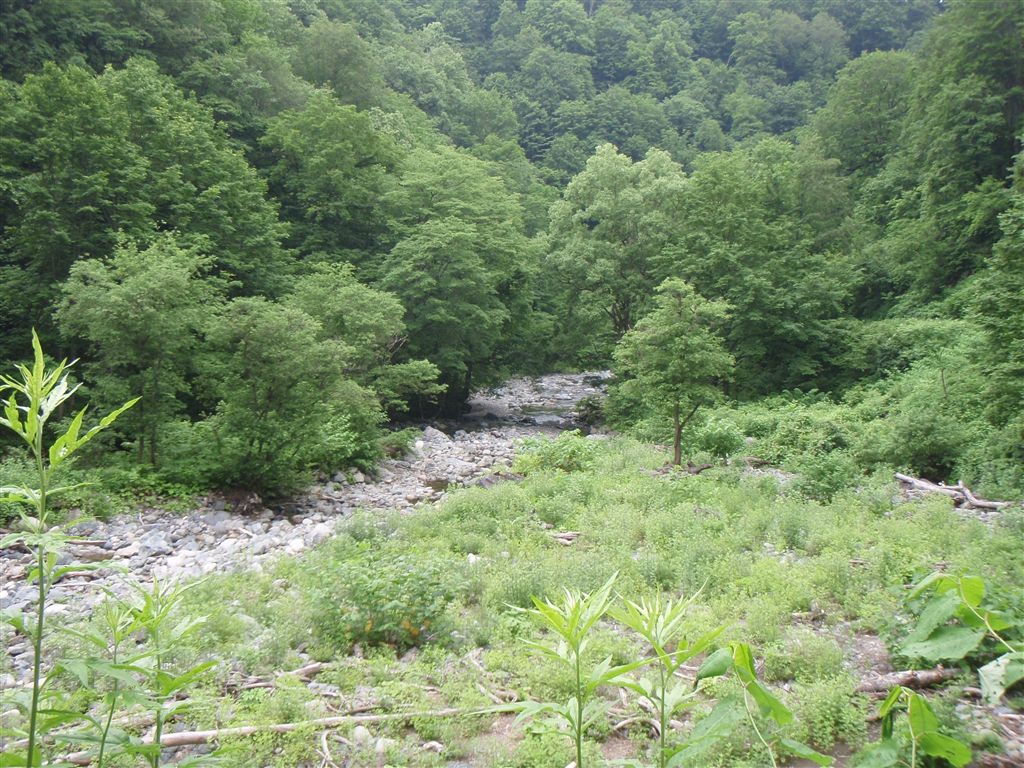 c0177497_22121852.jpg
