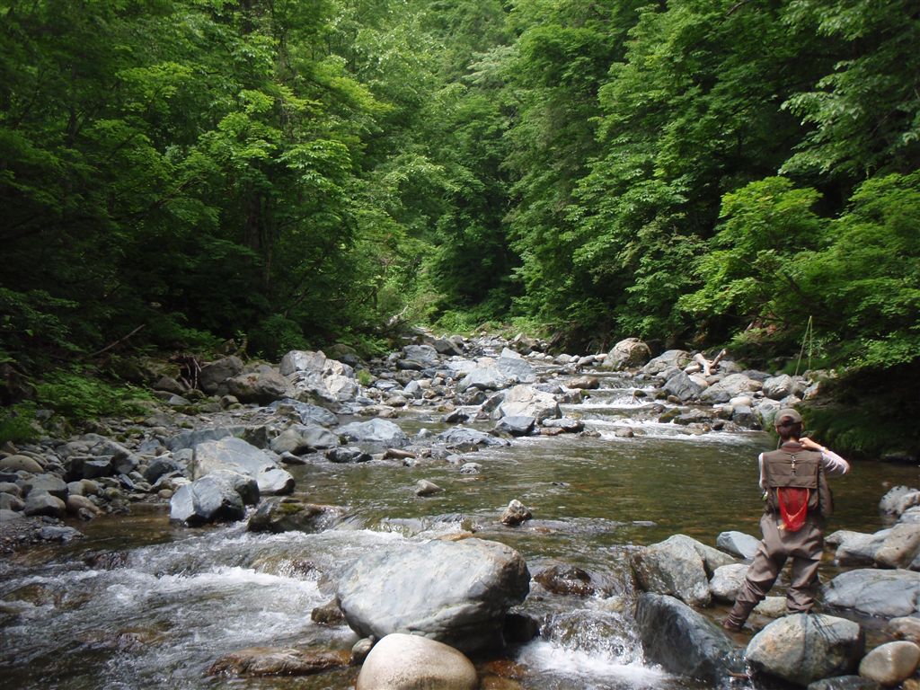 c0177497_22131928.jpg