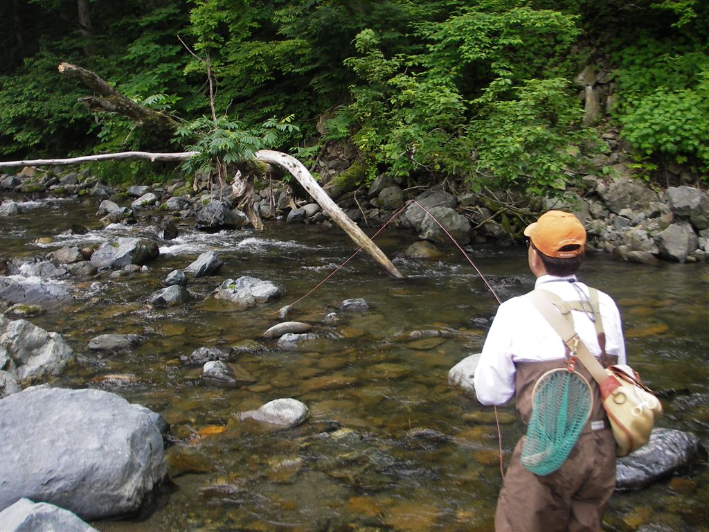 c0177497_2284767.jpg