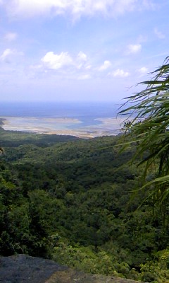 f0032403_21441020.jpg