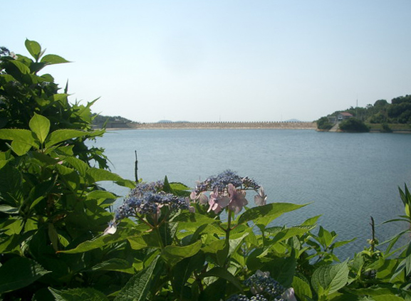 b0052108_973548.jpg