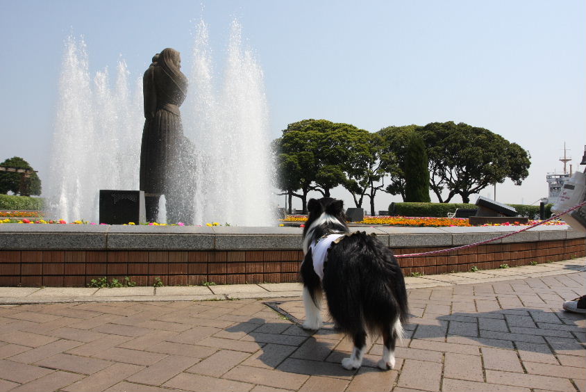 e0130008_20243499.jpg
