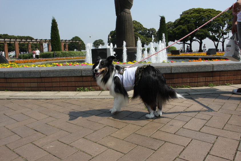 e0130008_20245561.jpg