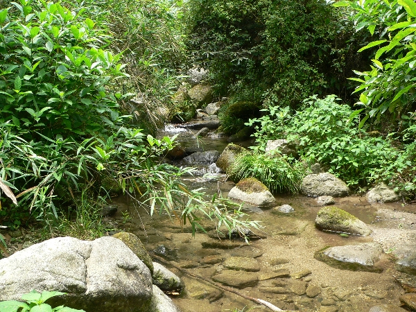 e0002314_1875491.jpg