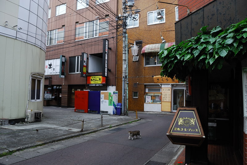 f0192814_23283683.jpg
