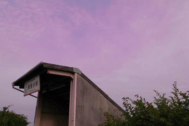 f0203415_21295312.jpg