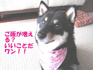 c0185516_23411925.jpg
