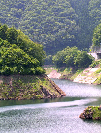 f0036716_1312910.jpg