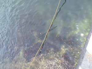 e0002927_199066.jpg