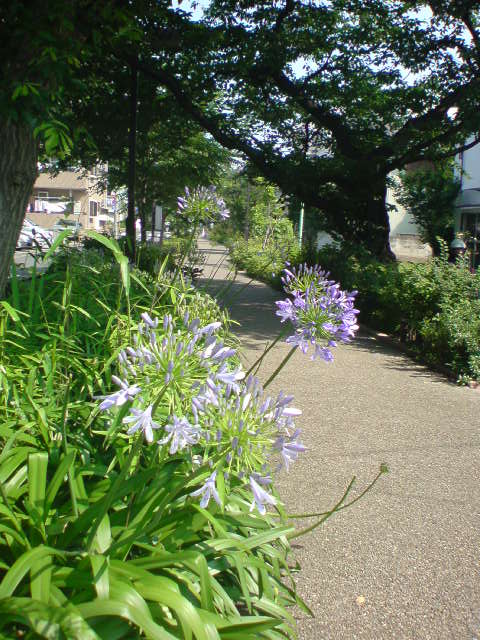 e0016828_15381429.jpg