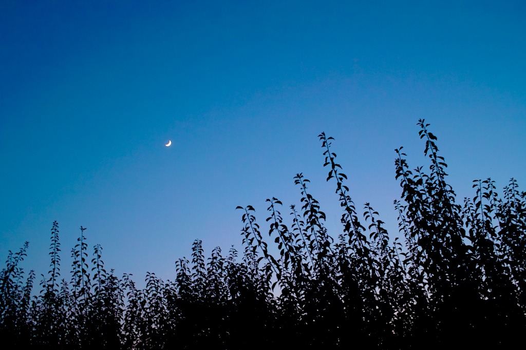 c0106831_865249.jpg