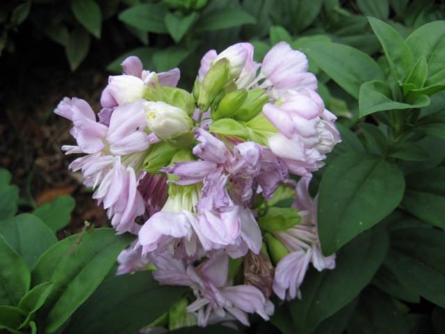 e0166032_22193988.jpg