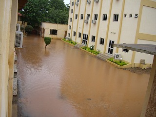 f0204737_8161074.jpg