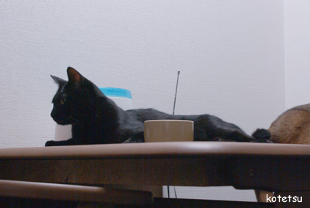 c0132438_22401832.jpg