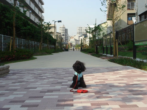f0088839_23302636.jpg