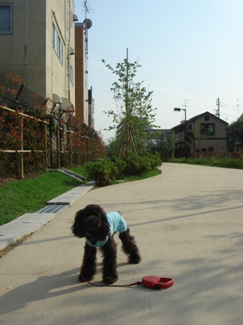 f0088839_23322565.jpg