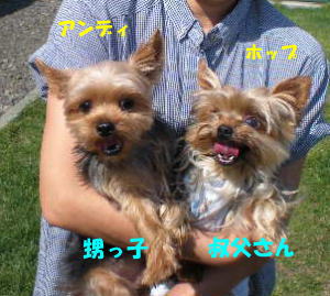 b0001440_21584346.jpg