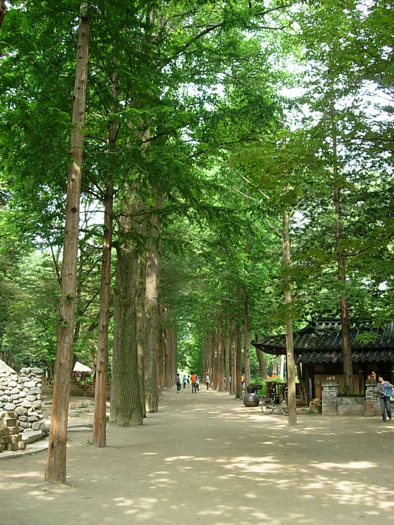 e0087443_23265578.jpg