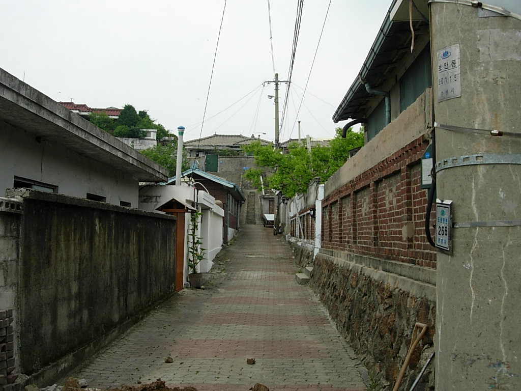 e0087443_23414121.jpg