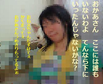 f0195543_1314779.jpg