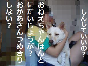 f0195543_1316141.jpg