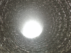 e0005548_109506.gif