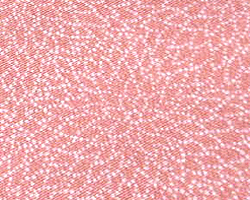 d0138852_1558328.gif