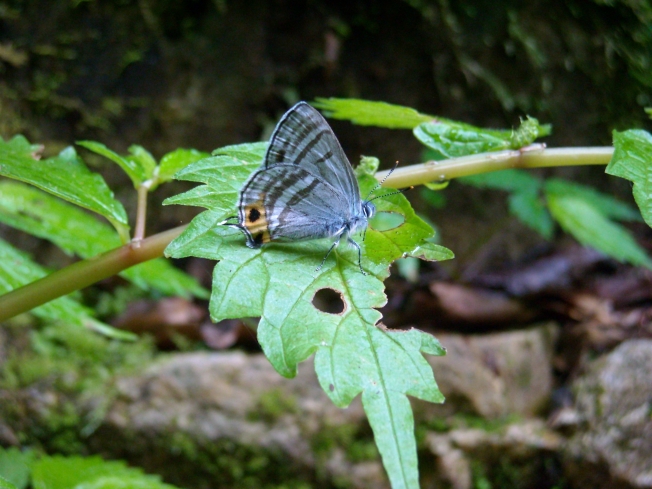 d0098057_12153310.jpg