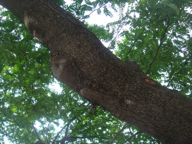 b0061261_2055988.jpg