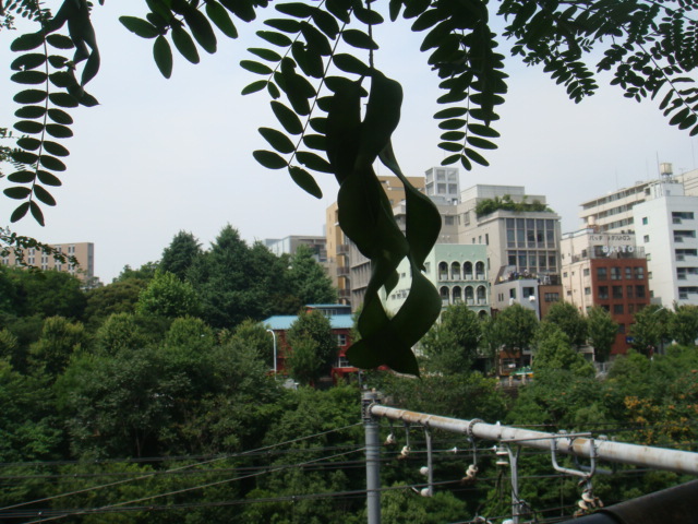 b0061261_2081337.jpg