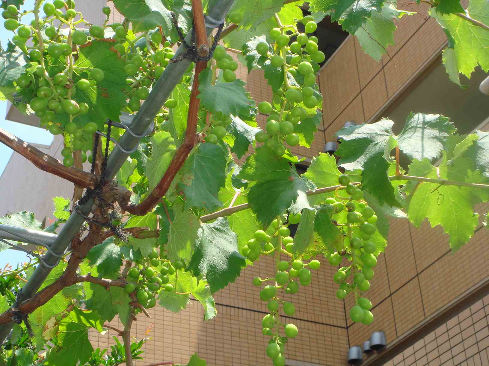 b0185768_19485158.jpg