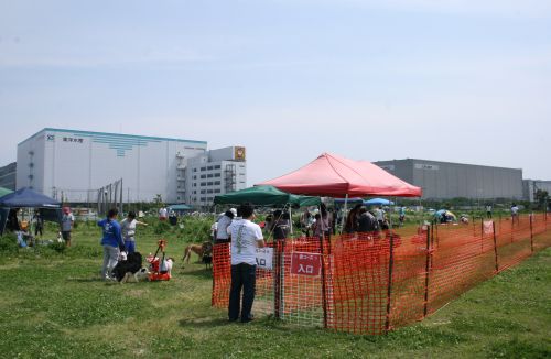 e0062371_23152727.jpg