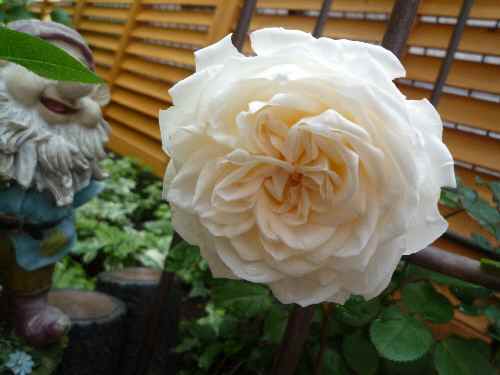 a0061973_10163458.jpg
