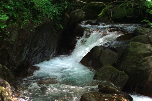 f0054075_20444572.jpg