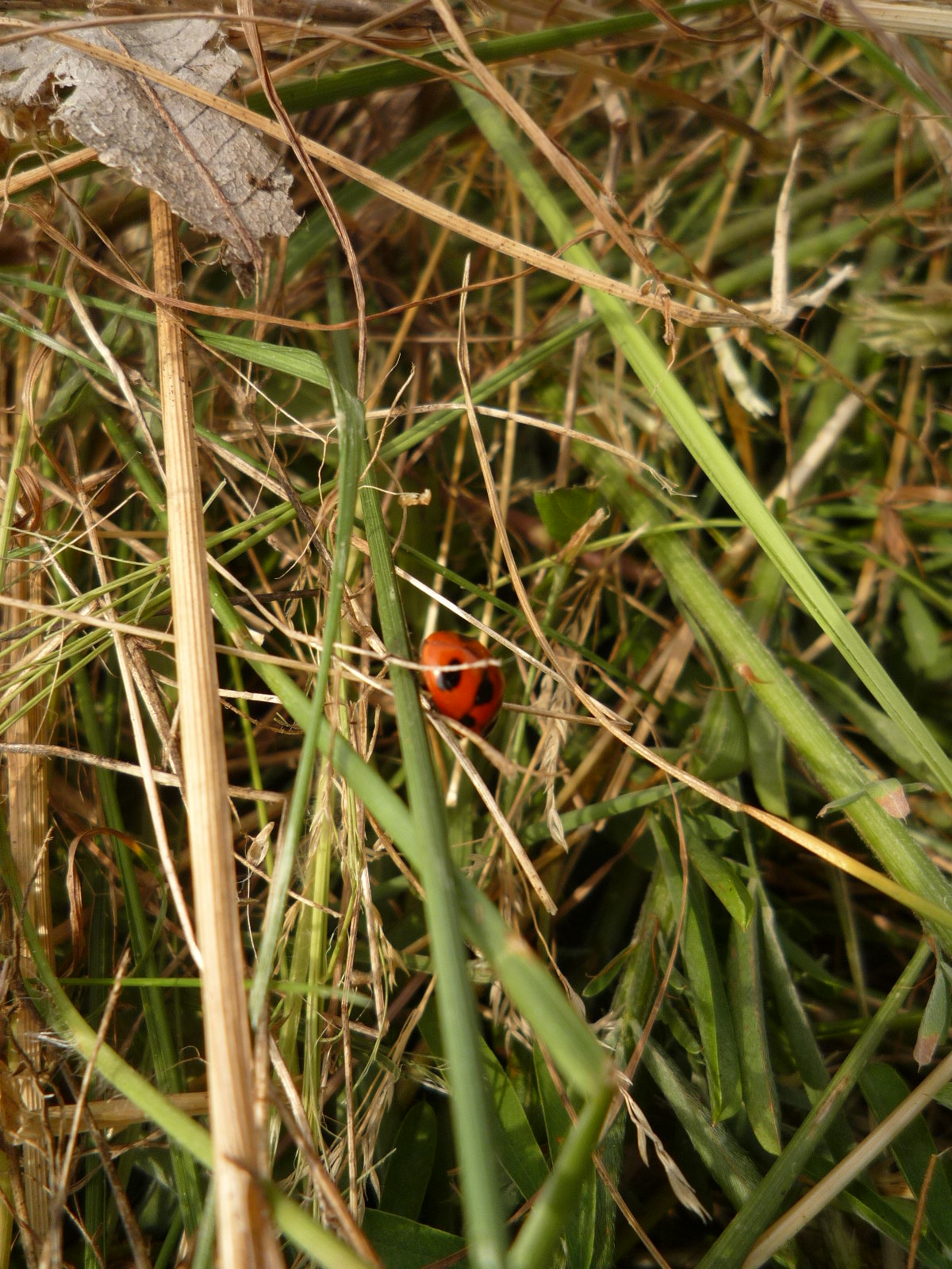 c0160778_19314533.jpg