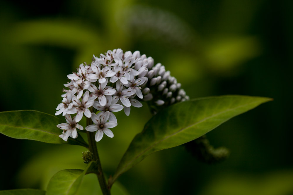 a0083081_16255440.jpg