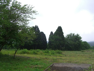 c0032583_222634.jpg