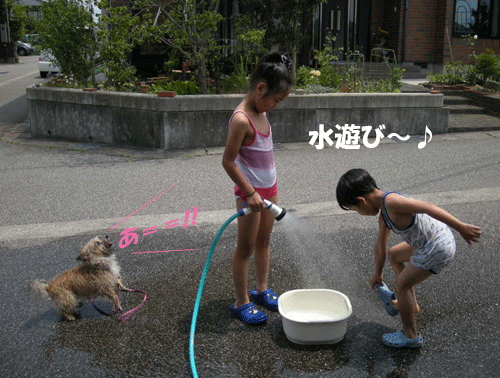 e0066883_23154813.gif
