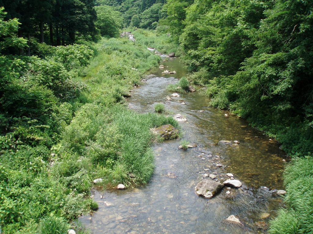 c0119891_2232112.jpg