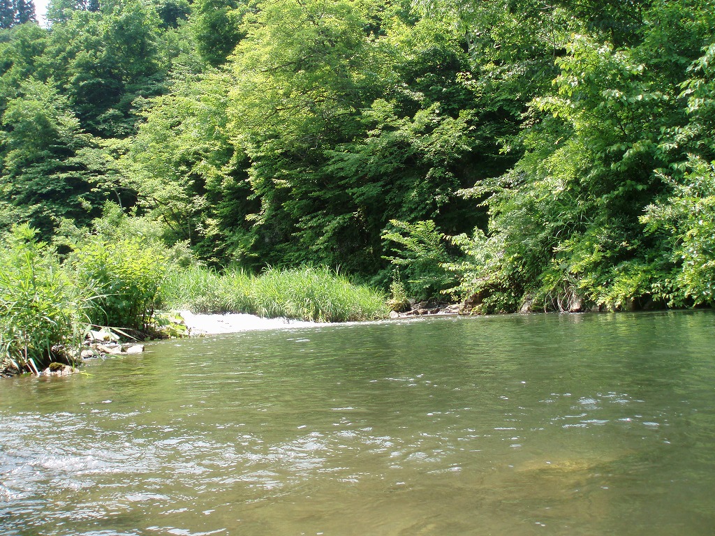 c0119891_2233097.jpg