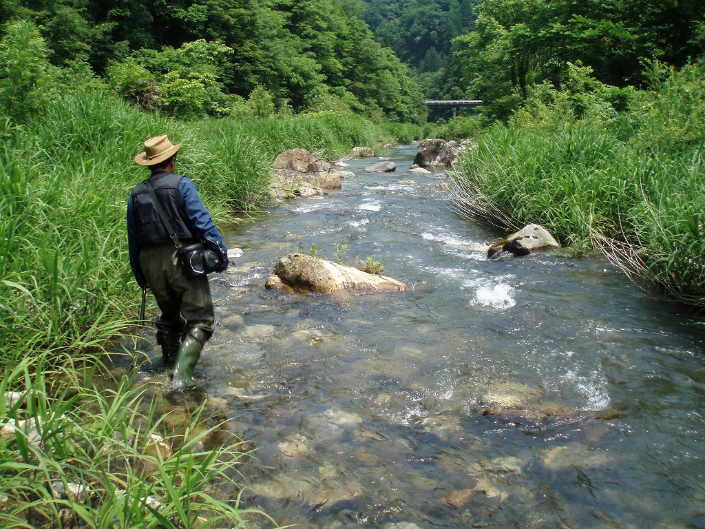 c0119891_22334255.jpg